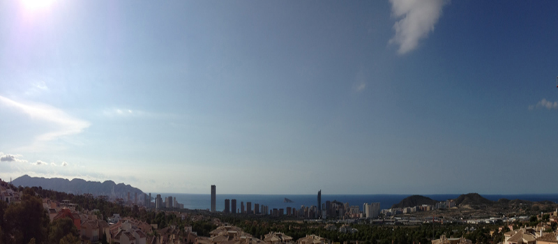 bugambilia en flor el runar